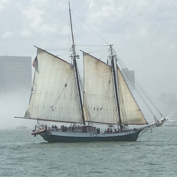 Meet your Posher, Kitty - Picture 5 of 7